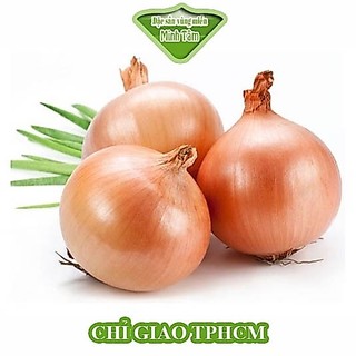 Hành Tây Đà Lạt loại 1 [CHỈ GIAO TPHCM]