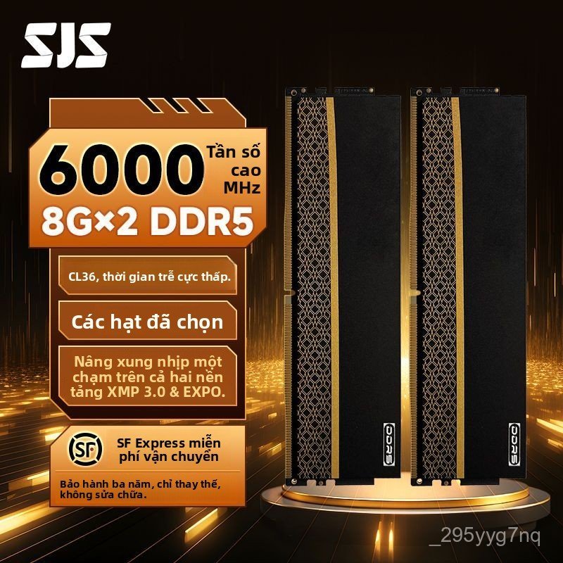 Ram máy tính cao cấp Sejishi DDR5 8G/16G 6000MHz C36 tản nhiệt chip Hynix mới chính hãng giao nhanh