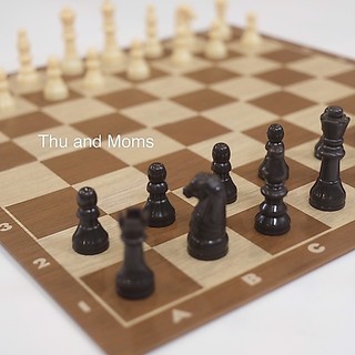 Cờ vua Spin Master (Canada) có thể gấp gọn