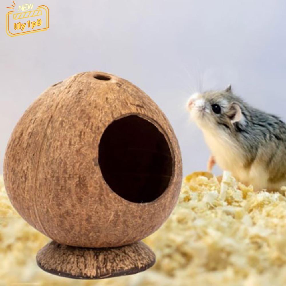 LILY1P0 Hamster House, Chống cắn Vỏ dừa tự nhiên chống cắn ấm áp, Chống mài mòn Dừa Guinea-pig Hamst
