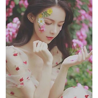 Bảng hoa dán mặt, phụ kiện makeup