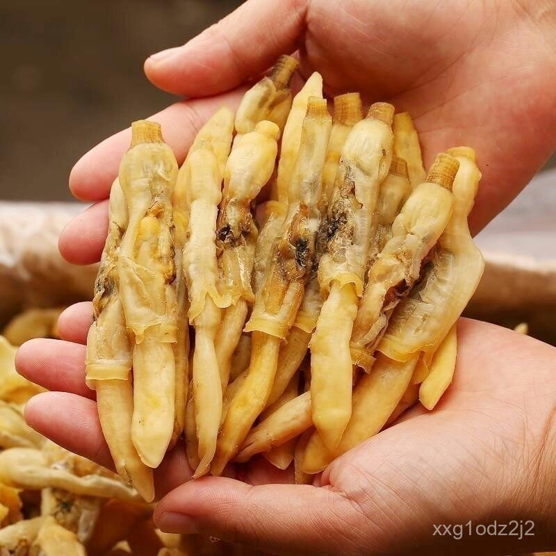 Khô mực câu tự nhiên tươi ngon thượng hạng gói 100g đến 1000g chuyên cung cấp sỉ lẻ nhà hàng quán ăn
