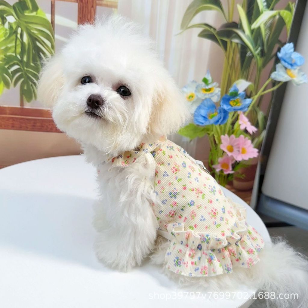 Chó Thoáng Khí Mỏng Phong Cách Chống Rơi Ruffle Đầm Xuân Hè Đầm Hoa Tươi Đẹp Đầm Công Chúa Hoa Bicho