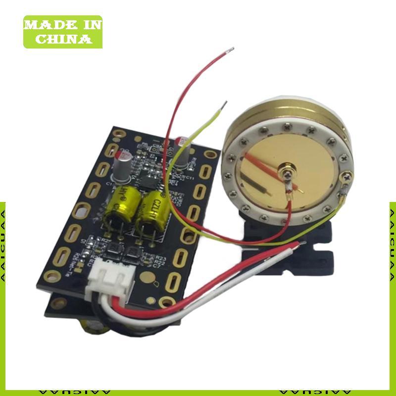 AA Stereo Dynamic Micro Preamplifier MIC Preamp Module Amplifier Bảng mạch khuếch đại