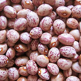 500gr ĐẬU CÚC ĐÀ LẠT