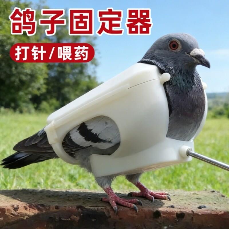 Pigeon Holder Photo Watch Pigeon Eye Feeding Bird Khung cố định phụ trợ Tiêm vắc xin Feeder Believe 