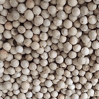 100g/500g Tiêu Sọ Hạt ( Tiêu Trắng )