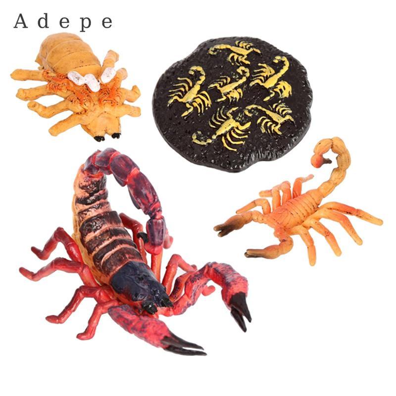 NATURE SCORPION GROWTH ĐỒ CHƠI ĐỒ CHƠI ĐỒ CHƠI ĐỒ CHƠI ĐỒ CHƠI ĐỒ CHƠI ĐỒ CHƠI ĐỒ CHƠI ĐỒ CHƠI ĐỒ CH