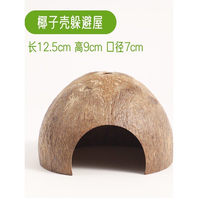 Phổ biến [Gói cảnh quan] Bể cá ẩn sĩ Cua cát Cua ẩn náu Nhà nhựa Đồ trang trí bể cá Đồ trang trí Vỏ 
