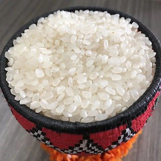 Hạt giống lúa nếp cái hoa vàng túi 1kg