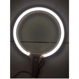 Vòng đèn hào Quang PHẬT khổ lớn  (kèm nguồn)
