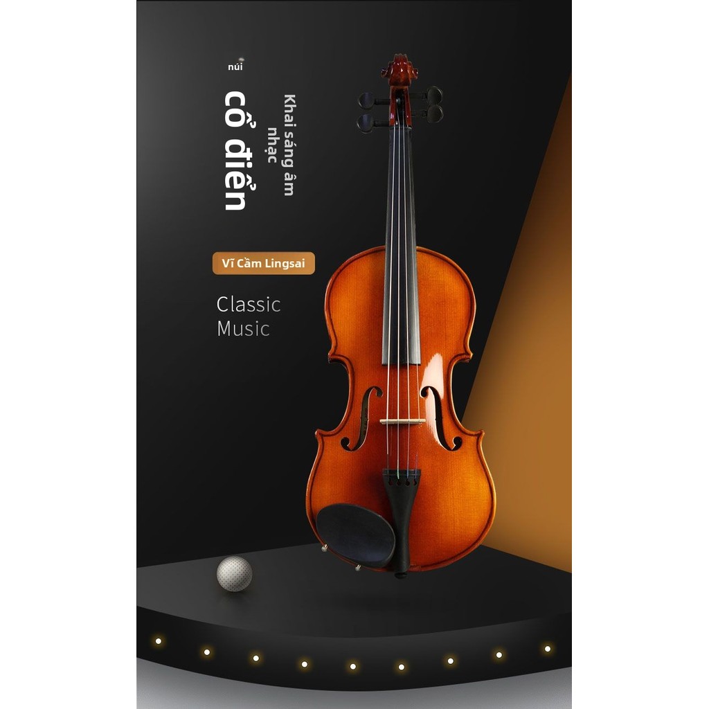 Đàn vĩ cầm Linh Sai V02A Violin cao cấp dành cho kỳ thi, dành cho người mới bắt đầu và chuyên nghiệp