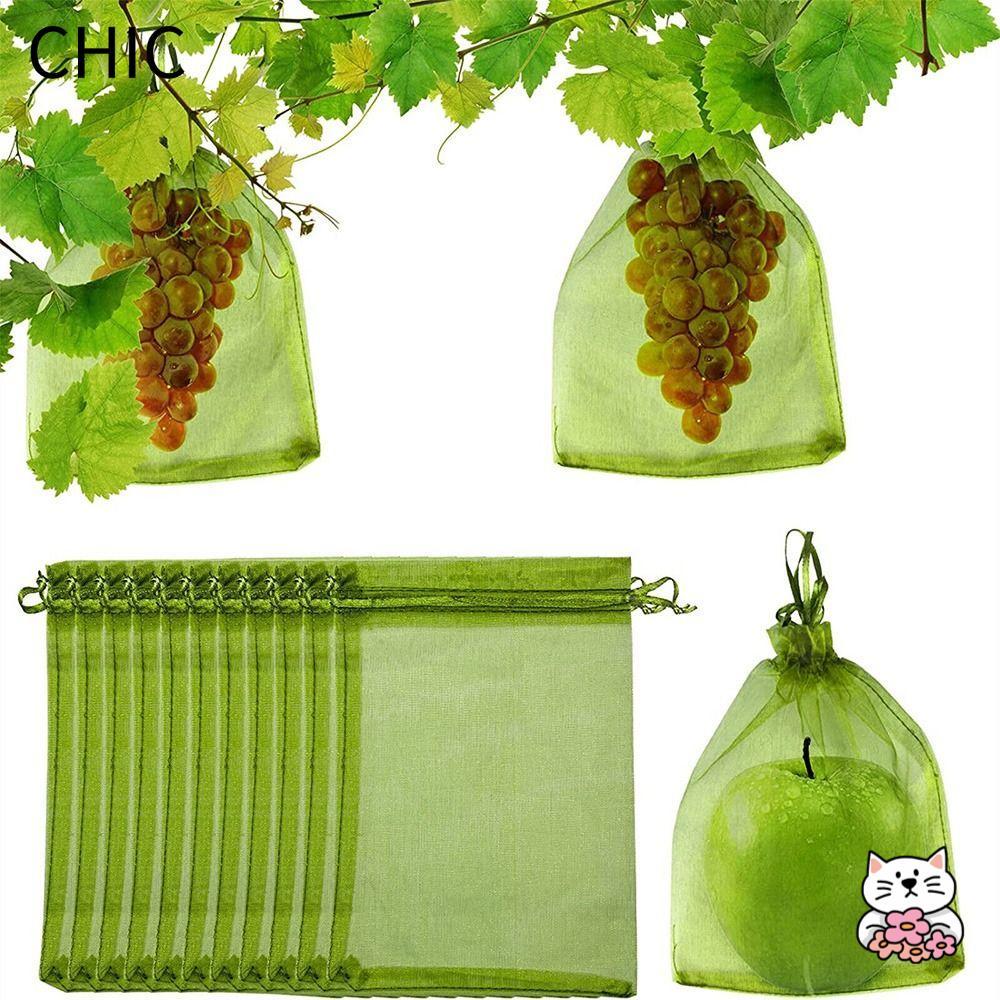 CHIC 30 Chiếc Túi Bảo Vệ Thực Vật Chống Côn Trùng Dụng Cụ Làm Vườn Người Trồng Túi Bảo Vệ Trái Cây B