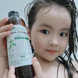 DẦU GỘI ĐẦU THẢO MỘC SÓC CON 500ml