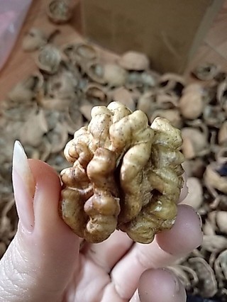 Quả Óc Chó Vỏ Mỏng Hàng mới về- Quả Óc chó Đỏ, Nhân óc chó