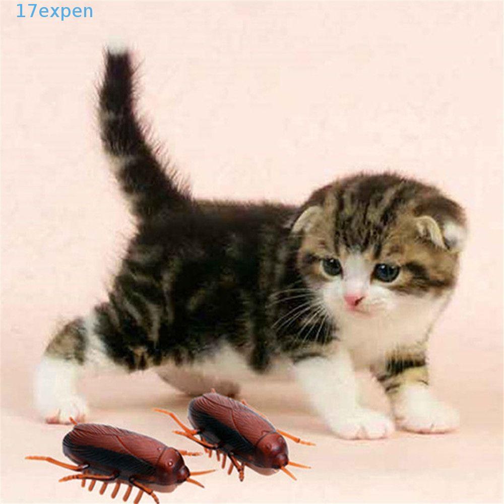 EXPEN Gián Vui Nhộn Mèo Con Tương Tác Pin