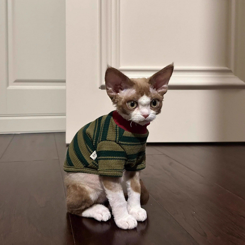 Cat Clothes Spring and Summer 2025 New Striped Two Feet Apparel Cute Hairless Cat Blue Cat Ragdoll K