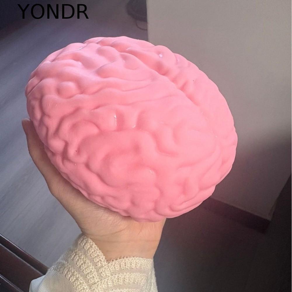 Đồ chơi Fidget YONDR, Đồ chơi Squishy trí não tăng chậm TPR, Mô hình trí não lớn mô phỏng sáng tạo H