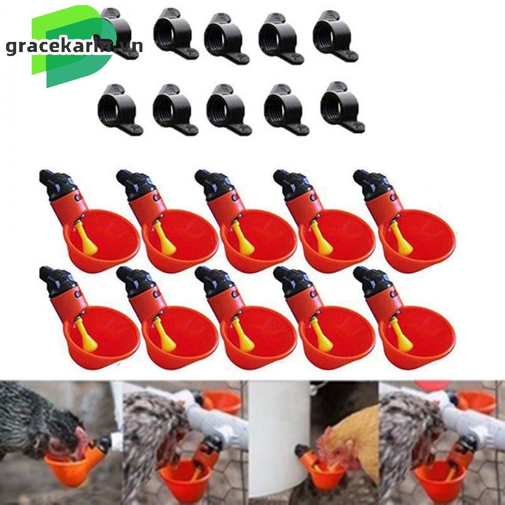 Poultry Drinker Crickets Farm Holder Animal Automatic Chicken Container