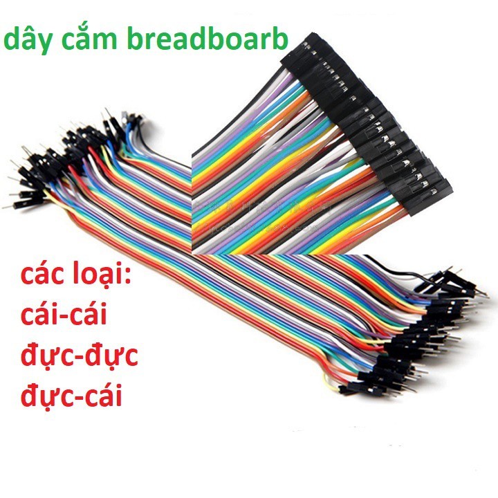Dây Bus 40 Pin IDC Rainbow Cable 10cm 20cm 40 Sợi