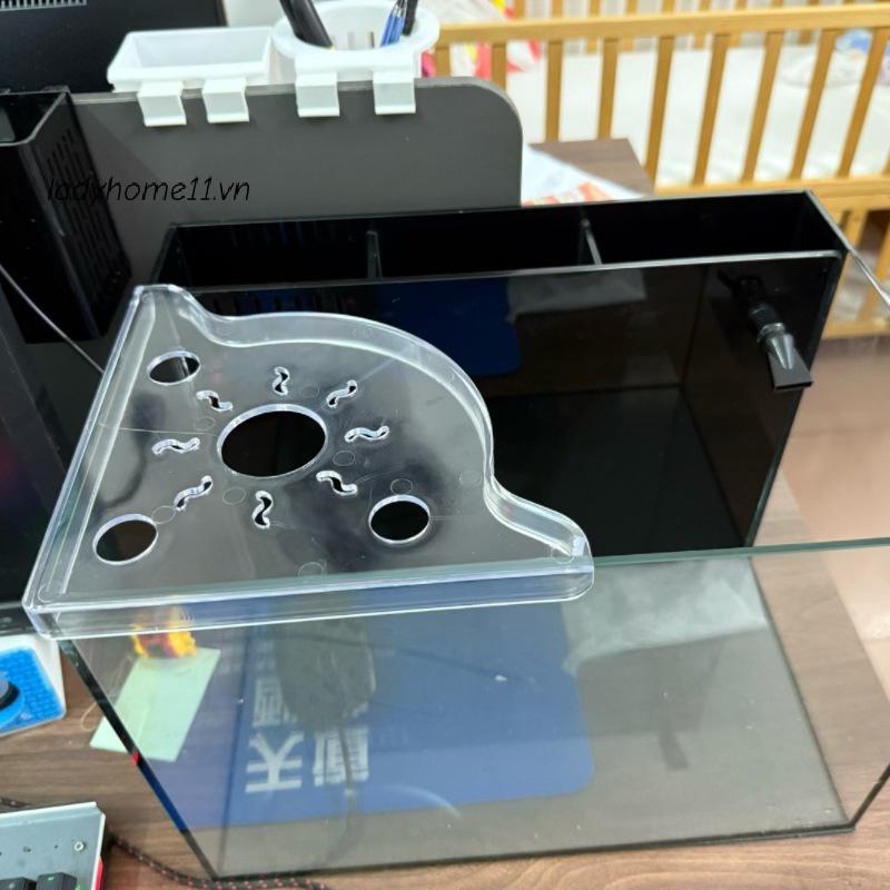 Lady Fish Tank Corner Storage Ra Punch-free Storage Ra Fish Tank Top Landscape Braet Hydroponic Gree