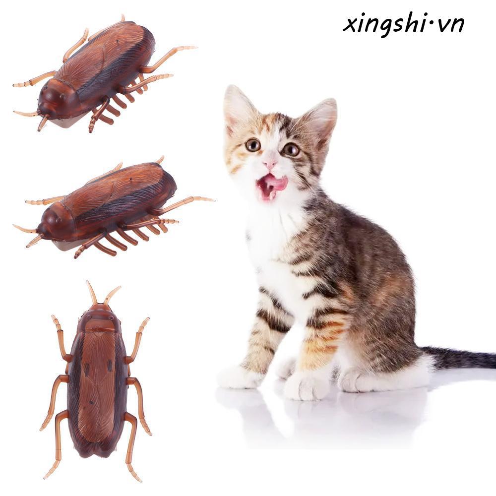 XINGSHI Training Play Toy Kitten Funny Electronic Kids