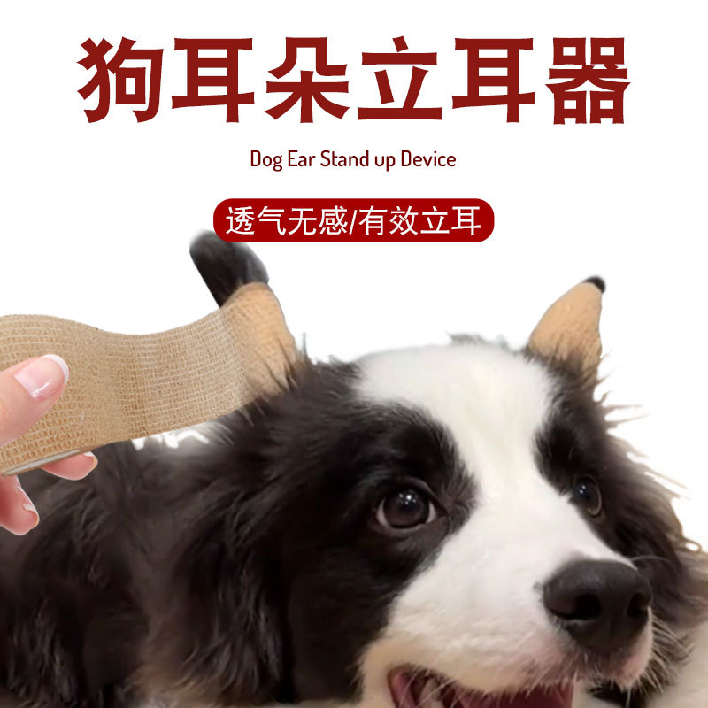 Chó Tai Đứng Chó Con Tai Đứng Chó Con Tai Đứng Tai Đứng Tai Dính Chó Con Đứng Tai Hỗ Trợ Tai Không K