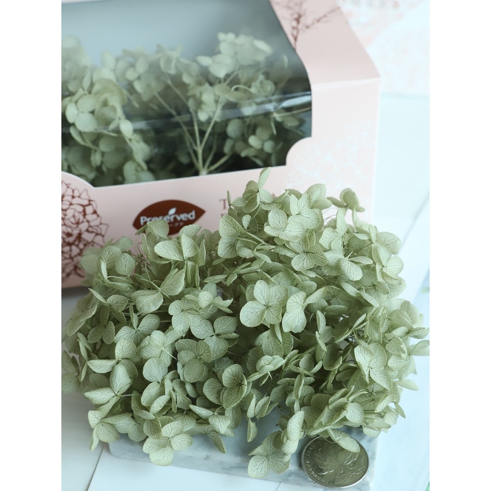 Chờ đợi hoa Mũ đội đầu nhập khẩu Chất liệu tự làm Gói Toka Iwate Glass Cover Anna Hoa bất tử Hydrang