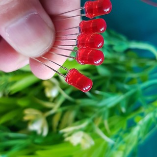[COMBO 50 Led] Led 5MM Phủ Đỏ - Led phi 5 báo nguồn