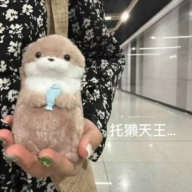 Amuse Dễ Thương Nhỏ Otter Giữ Cá Sang Trọng Búp Bê Móc Treo Búp Bê Quà Tặng Li Có Thể Tặng Dễ Thương