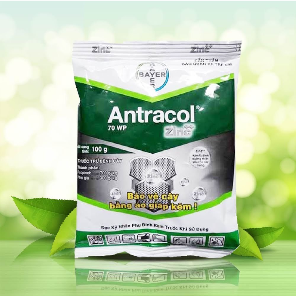 ANTRACOL 70WP - Gói 100G - Bảo vệ cây bằng áo giáp kẽm