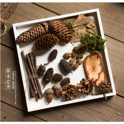 ZAKKA Mori Retro Đạo Cụ Ảnh Mori Girl Handmade DIY Chất Liệu Gói Tự Nhiên Micro Phong Cảnh Nhánh Nhỏ