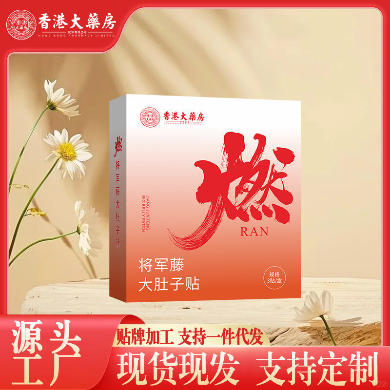 ⭐General Teng Herbal Multi-Flavor Big Belly Plant Factory Extract Patch Hong Kong Big Pharmacy★FIEN5