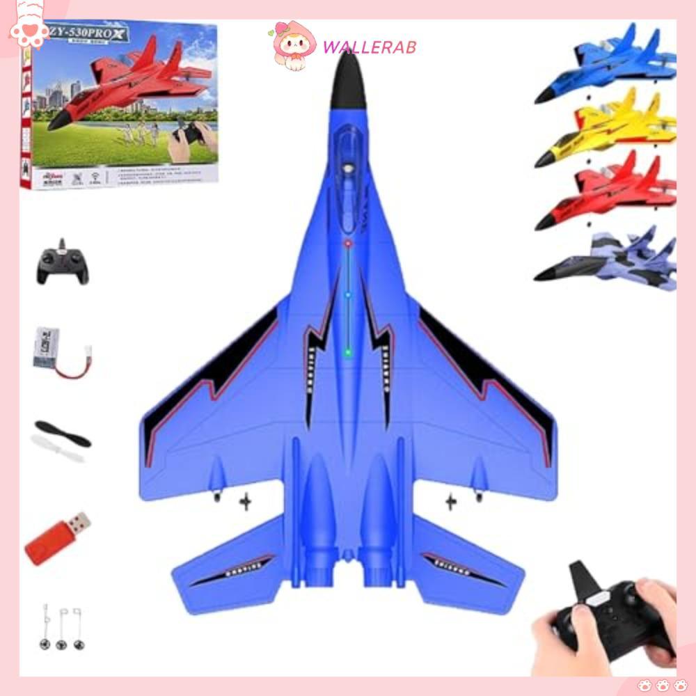 Máy bay chiến đấu điều khiển từ xa WALLERAB 2.4ghz Rc, Máy bay chiến đấu điều khiển từ xa bằng điện 