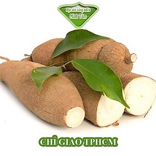 Khoai Mì [CHỈ GIAO TP.HCM]