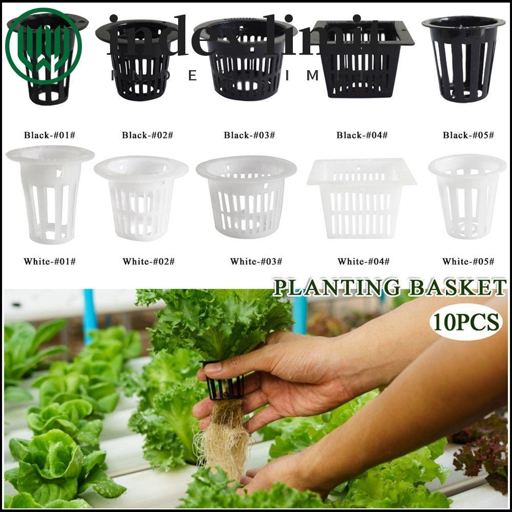  index limit INDEX GIỚI HẠN Nồi Lưới 10 Chiếc Rau Thủy Canh Trồng Lưới Cốc