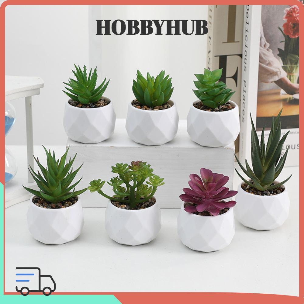 Cây cảnh HOBBYHUB Evergreen Mini Home
