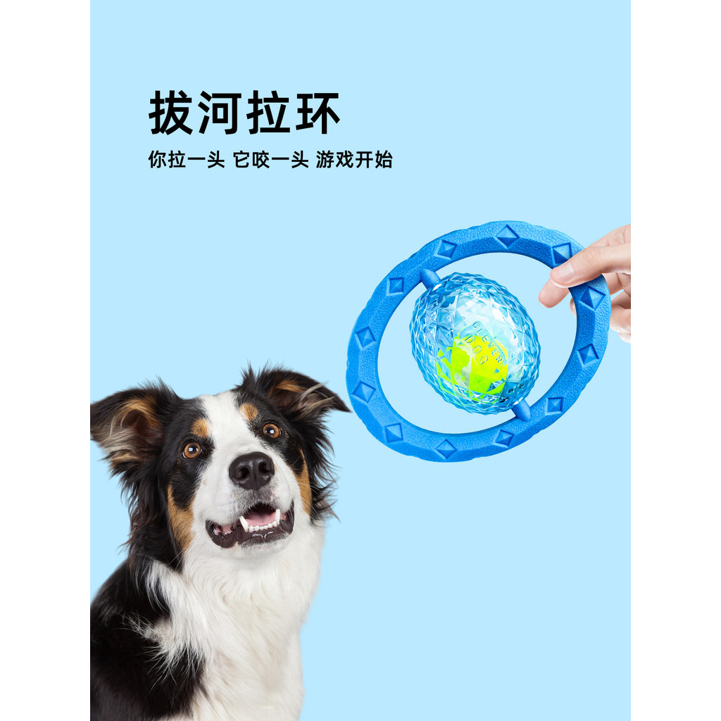 Đồ chơi cho chó Qzee Planet Frisbee Vòng kéo răng hàm Chống cắn Âm thanh Đồ chơi thú cưng tương tác 