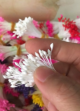 Nhuỵ bột giọt nước( 1 bó 6 tép nhỏ)
