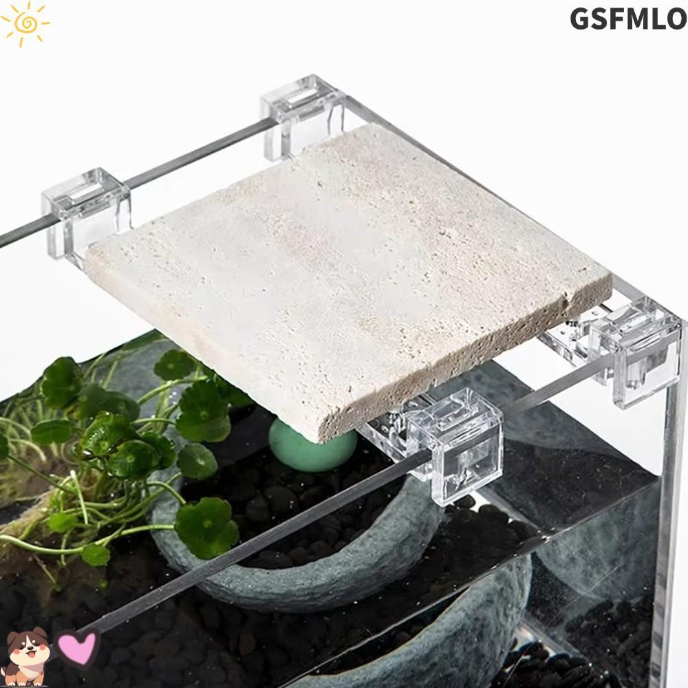 GSFMLO 1PC Nắp Bể Cá Nắp Hỗ Trợ Giá Đỡ, Trong Suốt 4.5 / 5 / 5.5 / 6 / 8 / 10 / 12 / 15mm Vỏ Thủy Ti