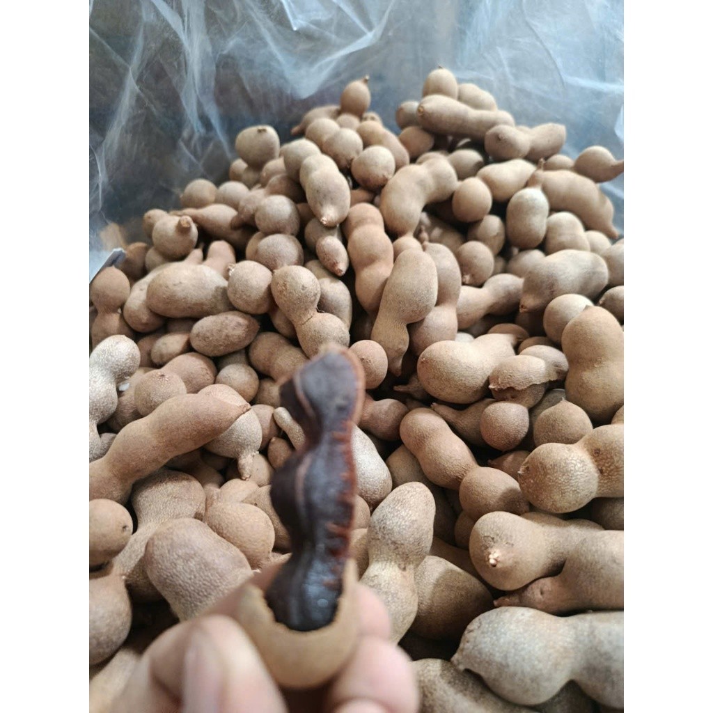 [SIÊU RẺ] Me ngọt Thái Lan 500g hàng xá / SHOP ANH BA HƯNG