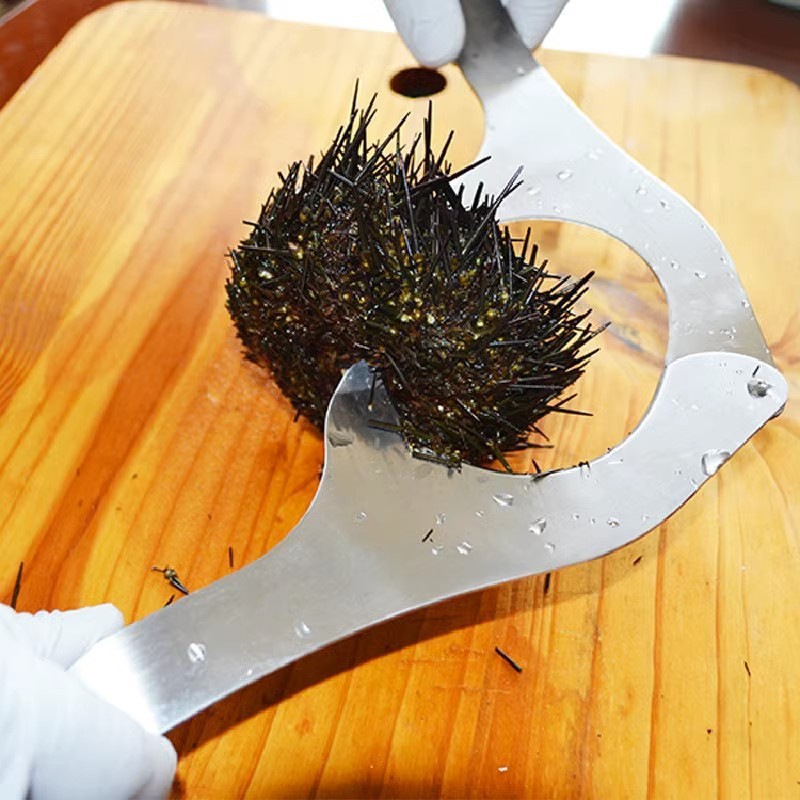 Dụng cụ tiện dụng Open Sea Urchin Grab Sea Urchin Cut Kill Sea Urchin Clip Dụng cụ đặc biệt Open She