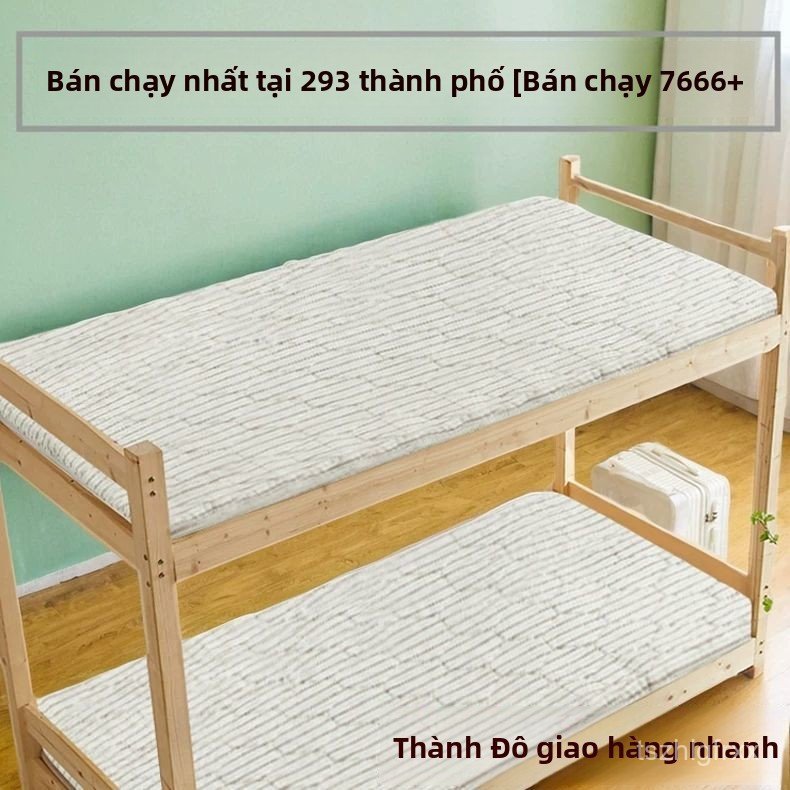 Đệm xơ dừa cho ký túc xá kích thước 90x190cm đệm cứng thoáng khí hỗ trợ lưng tốt nhất