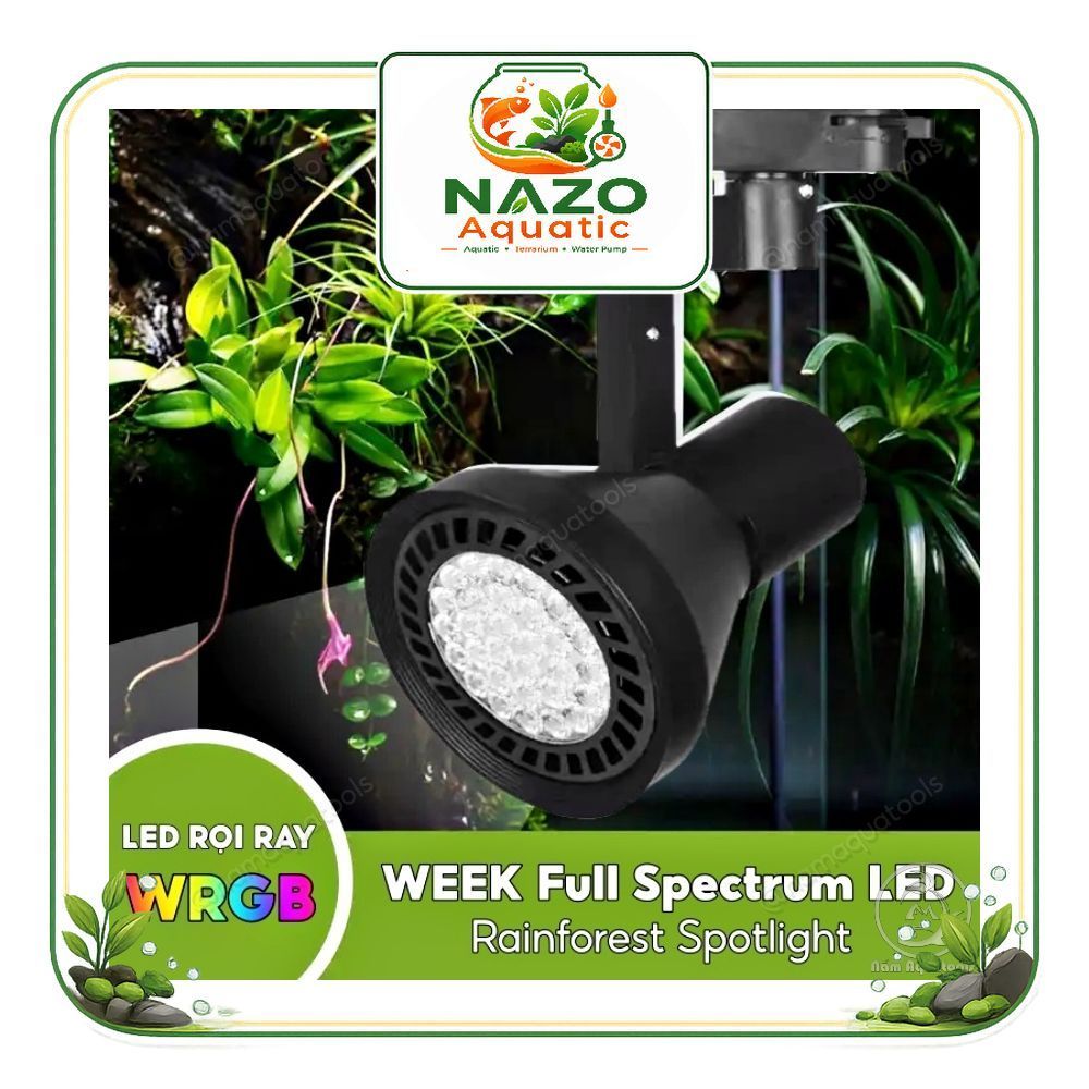 WEEK - Đèn LED Rọi Week Y30 Màu WRG Full Quang Phổ Cho Bể Bán Cạn, Bể Thuỷ Sinh NAZO Aquatic