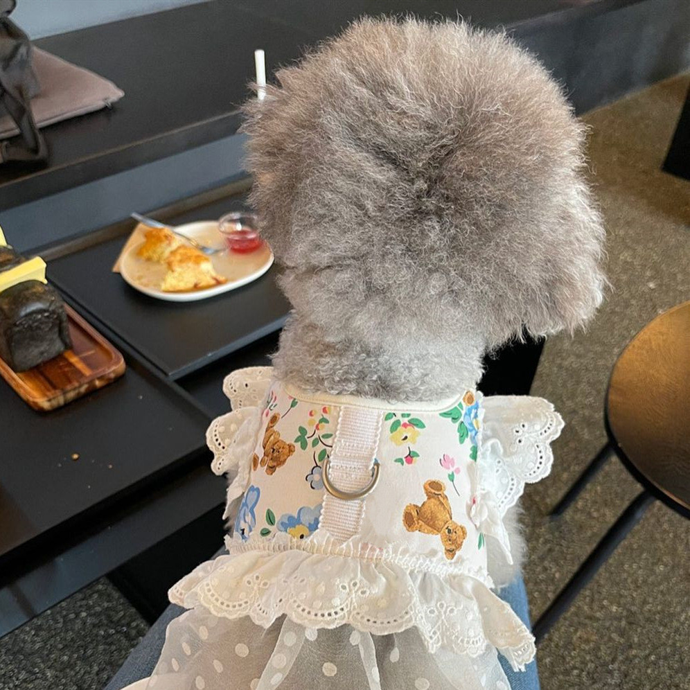 INS Pet Dog Bichon Ngực Nhỏ Lưng Teddy Bichon Maltese Tây Nguyên Chó Con Đi Chơi Dây Xích