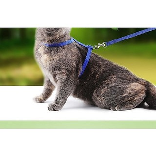 [HÀNG SẴN - GIAO NHANH 24H]  Dây dắt cao cấp dành cho mèo