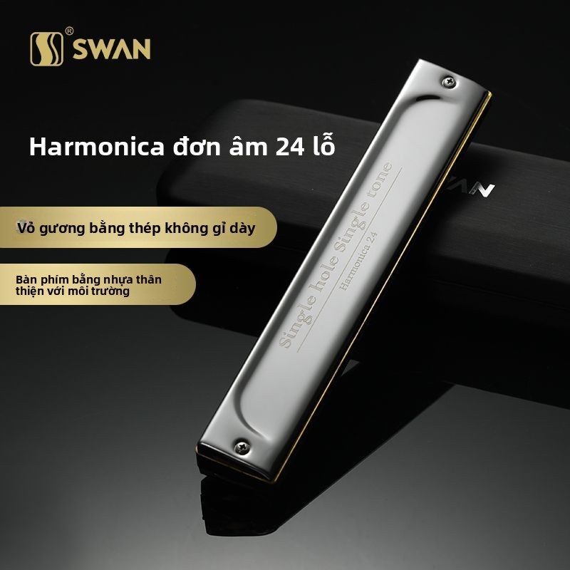 Harmonica 24 lỗ giọng C chuyên nghiệp cho nam giới người mới học