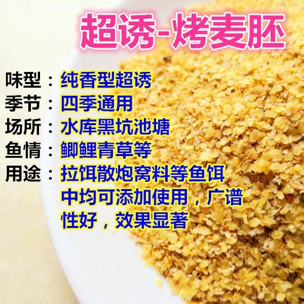 Số lượng lớn Super Lure Nướng Lúa Mì Vim Rang Gluten Khuấy Lúa Mì Mầm Câu Cá Mồi Cơ Bản Sấy Khô Nấu