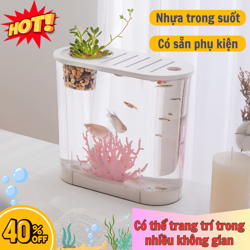 Hồ Cá Mini LILY'S DECOR Nhựa Trong Suốt Hình Bầu Dục Trang Trí Bàn Học Văn Phòng Nhà Cửa Đẹp