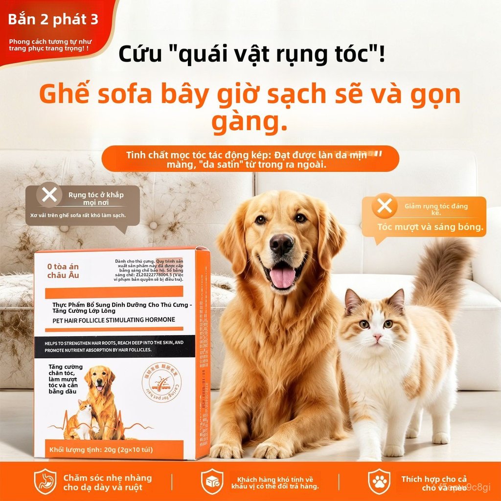 Bột mọc lông rụng lông dưỡng lông lecithin dinh dưỡng cho chó mèo mượt lông chính hãng bán chạy giao